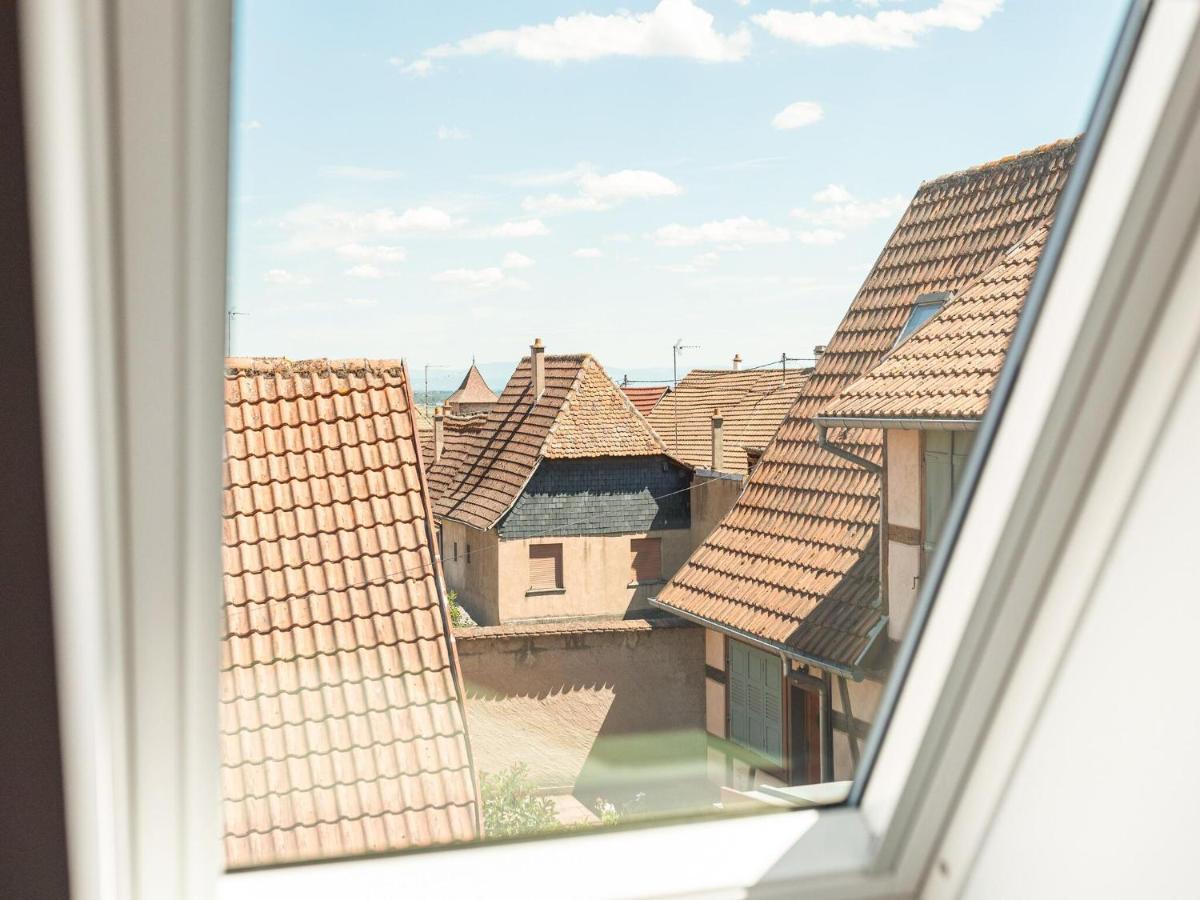 Charming Gite In Dambach La Ville With Terrace Zewnętrze zdjęcie