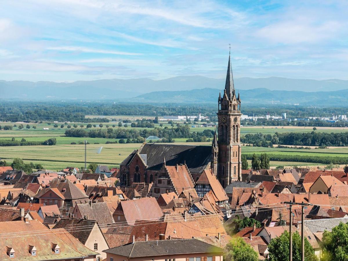 Charming Gite In Dambach La Ville With Terrace Zewnętrze zdjęcie