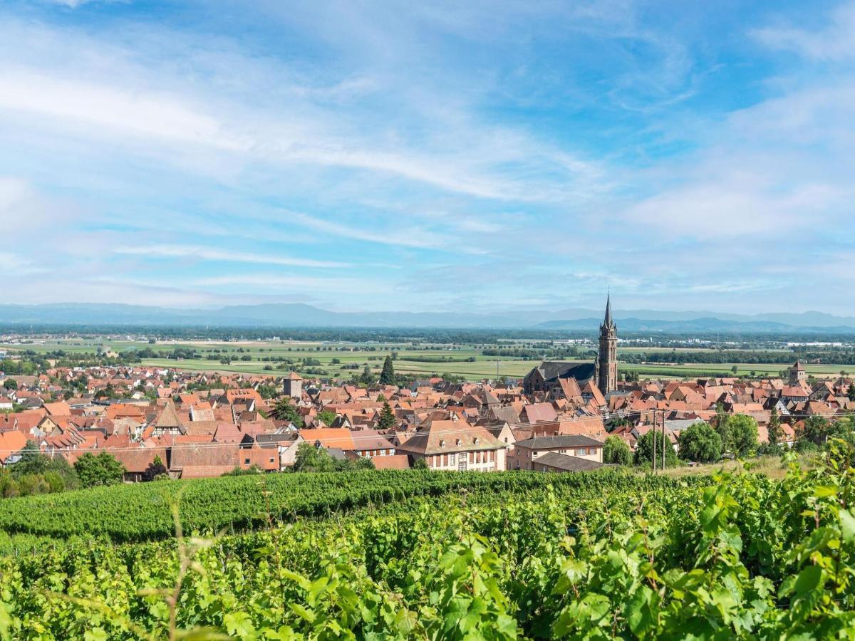 Charming Gite In Dambach La Ville With Terrace Zewnętrze zdjęcie